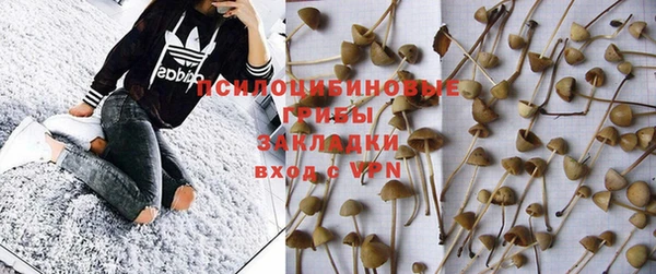 тгк Белокуриха