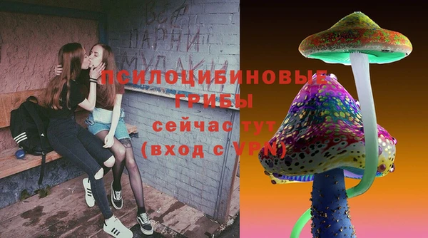 тгк Беломорск