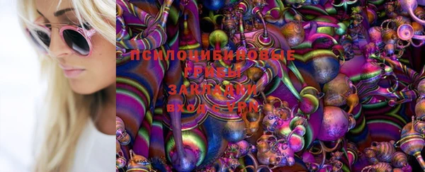 тгк Белокуриха