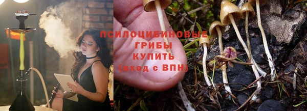 тгк Беломорск