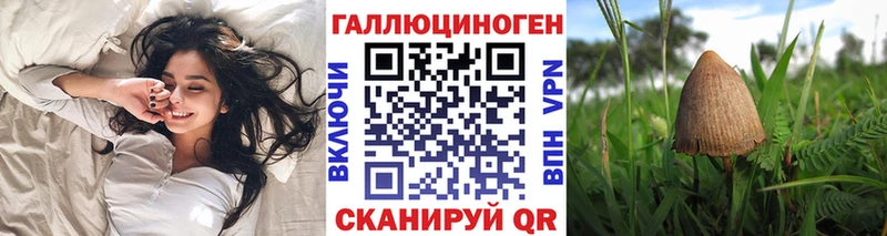 Галлюциногенные грибы Psilocybe  дарнет шоп  Шуя 